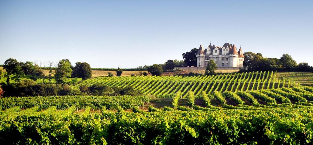 Perigourdine Avec Spa Et Vue Pomport Exteriér fotografie